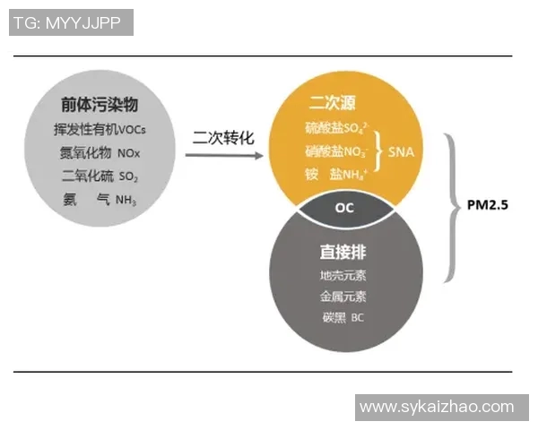 重庆极限运动队运营分析与发展策略探讨 重庆极限运动队运营分析与发展策略探讨