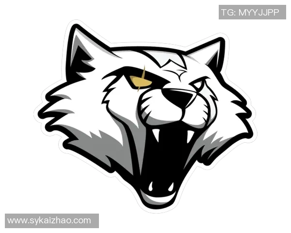 WE战队在CSGO中的战术意识与团队协作深度分析