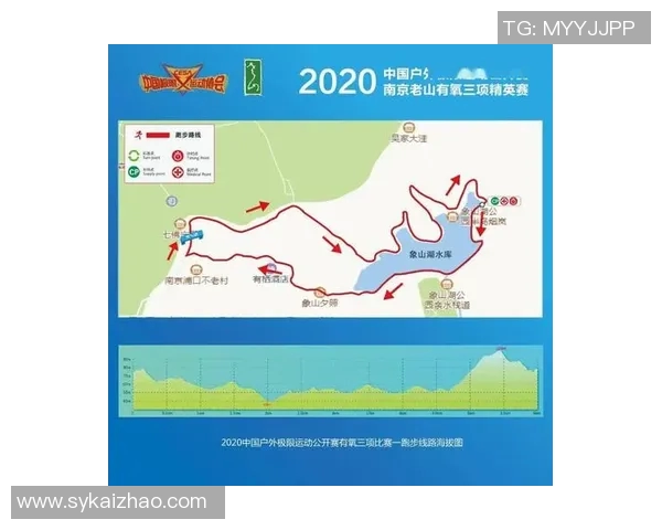 南京极限运动队的管理模式与发展趋势深度解析